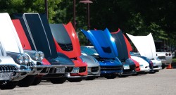 Vettes for Vets